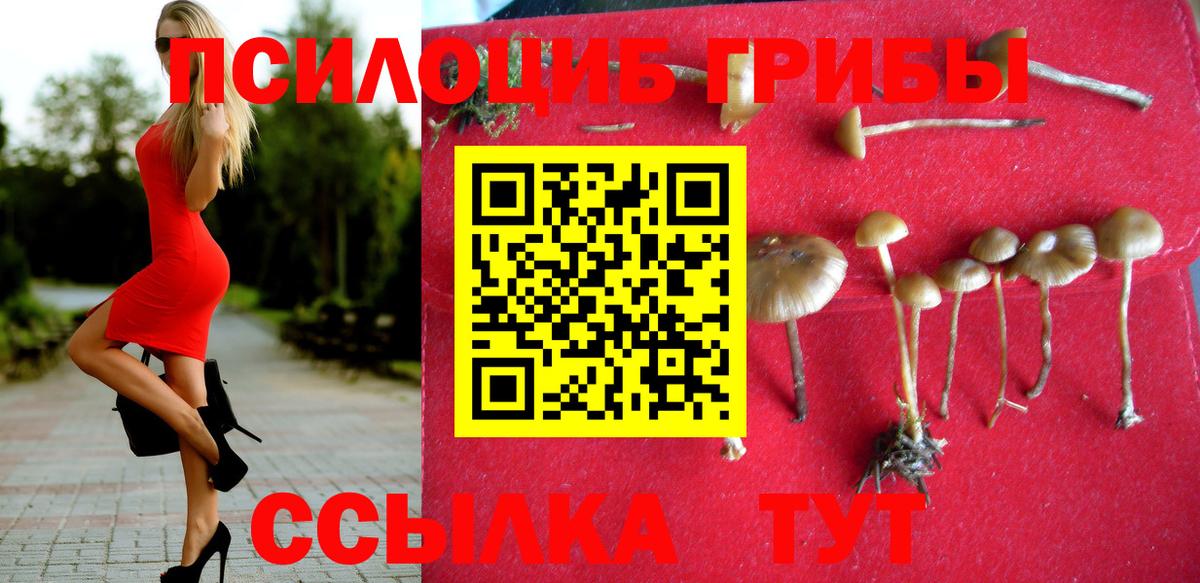 Псилоцибиновые грибы MAGIC MUSHROOMS  купить закладку  Артём  Галлюциногенные грибы Psilocybine cubensis 