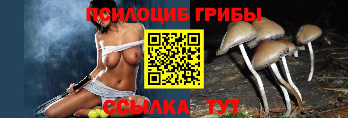 Артём  Галлюциногенные грибы мухоморы  Вход с VPN  Псилоцибиновые грибы мицелий 