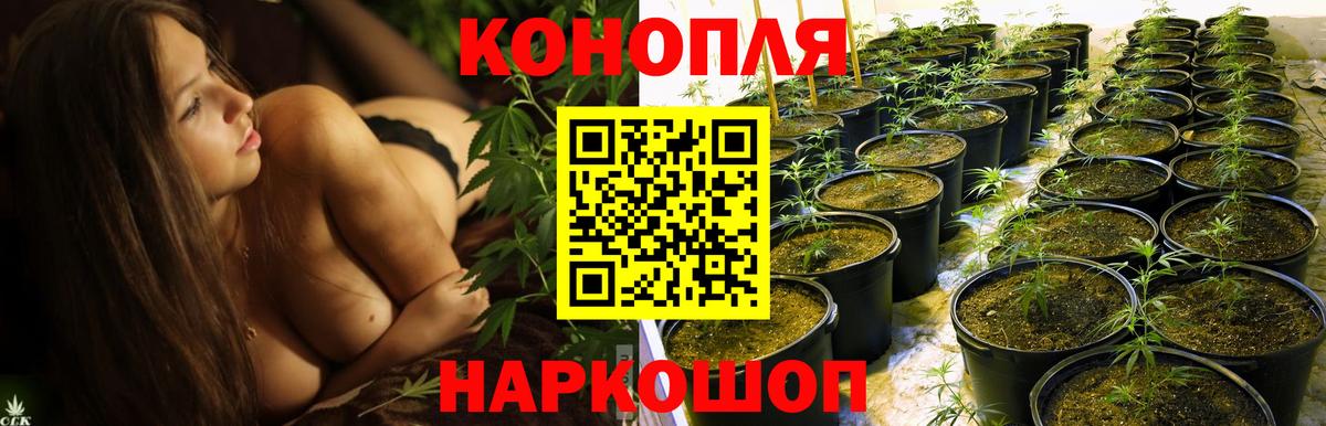 МАРИХУАНА SATIVA & INDICA  Вход с VPN  Конопля конопля  Марихуана тримм  Артём 